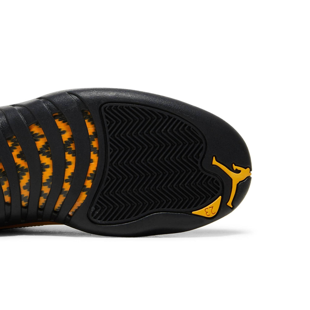 Air Jordan 12 Retro 'Black Taxi' CT8013-071