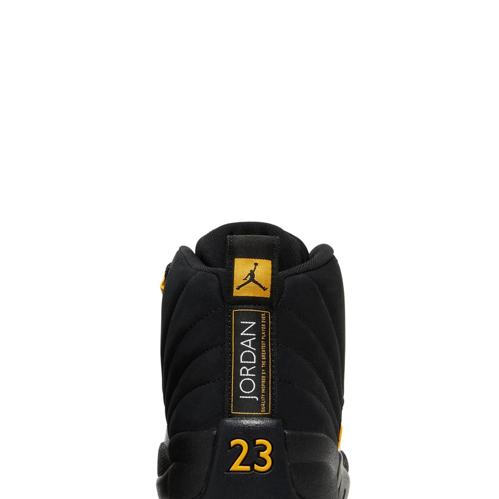 Air Jordan 12 Retro 'Black Taxi' CT8013-071