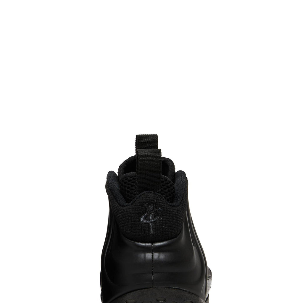 Air Foamposite One 'Anthracite' 2023 FD5855-001