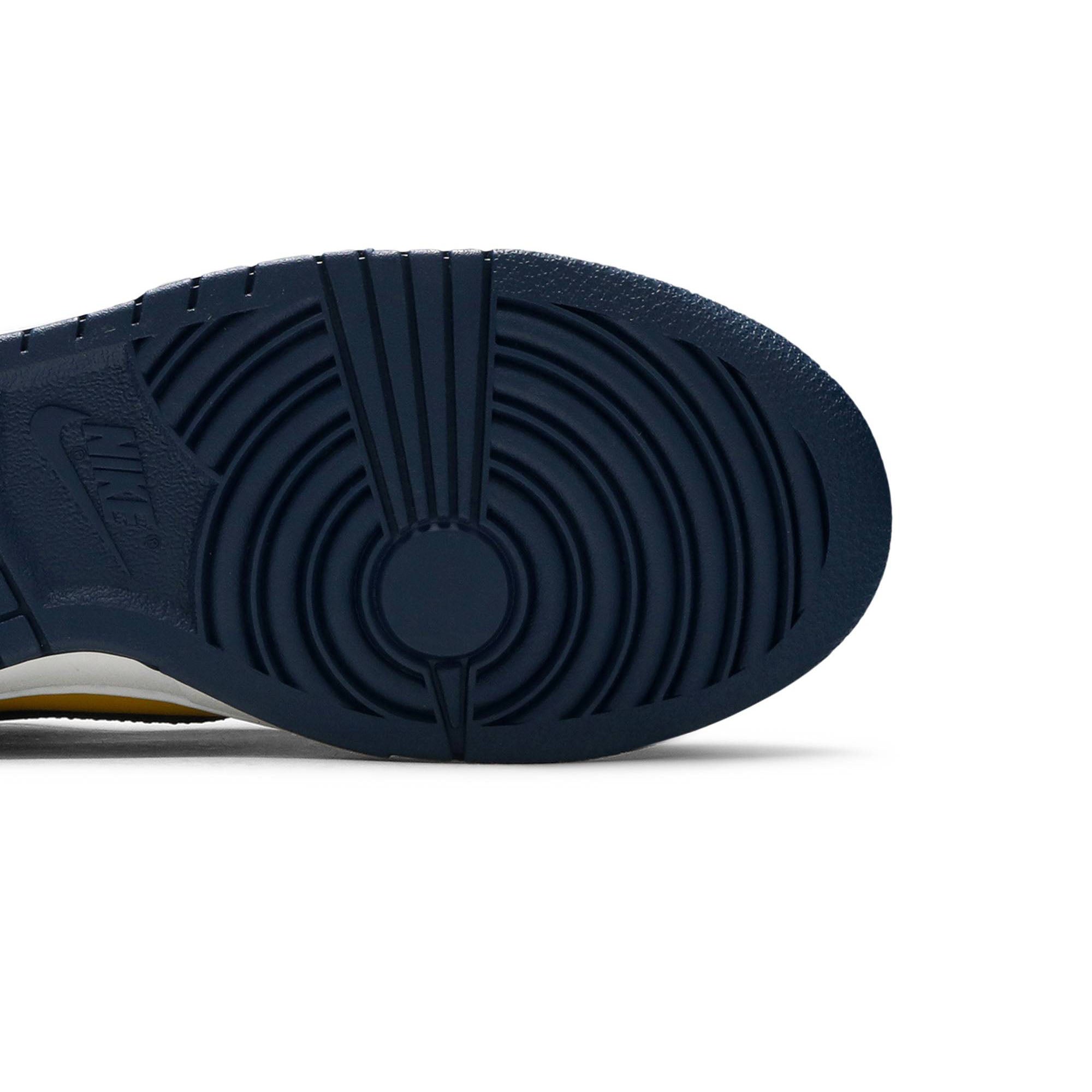 Dunk Low 'Michigan' 2021 DD1391-700