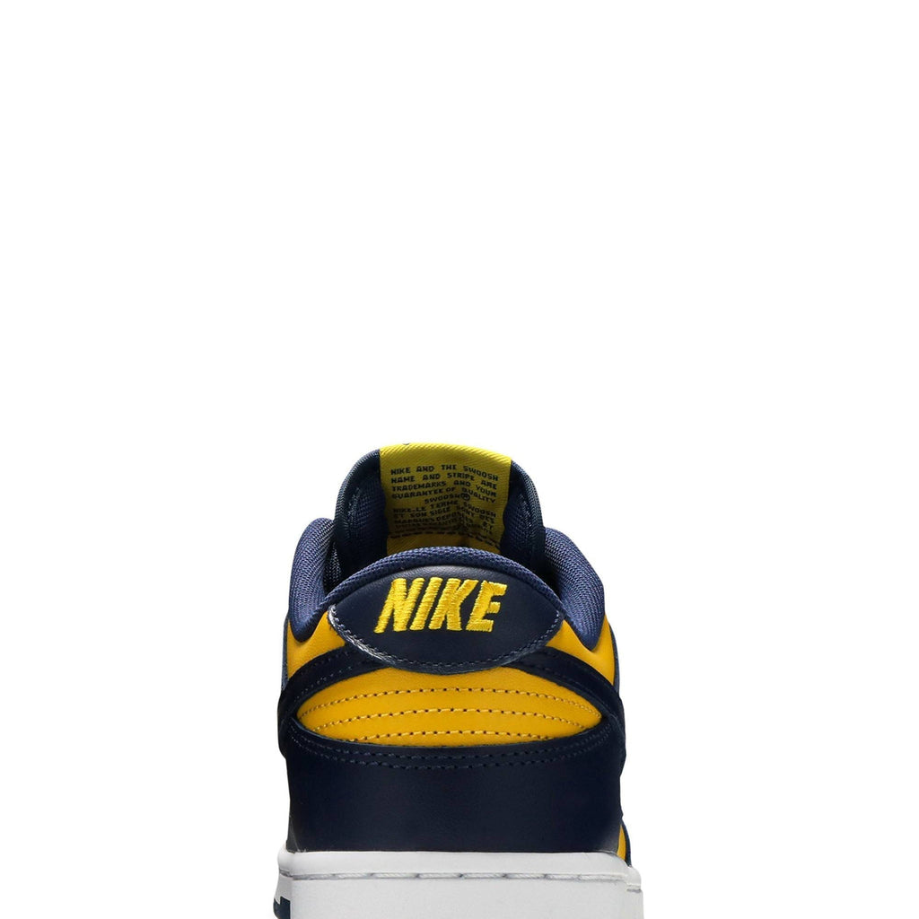 Dunk Low 'Michigan' 2021 DD1391-700